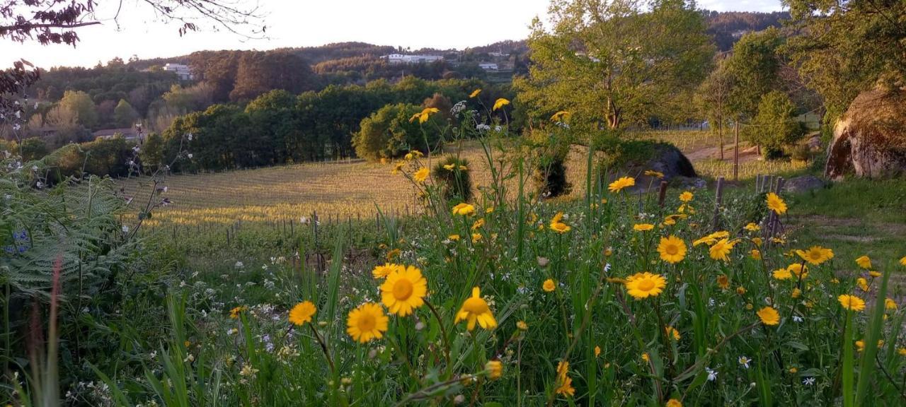 Quinta Pousada De Fora Wines & Tourism Guimarães Dış mekan fotoğraf