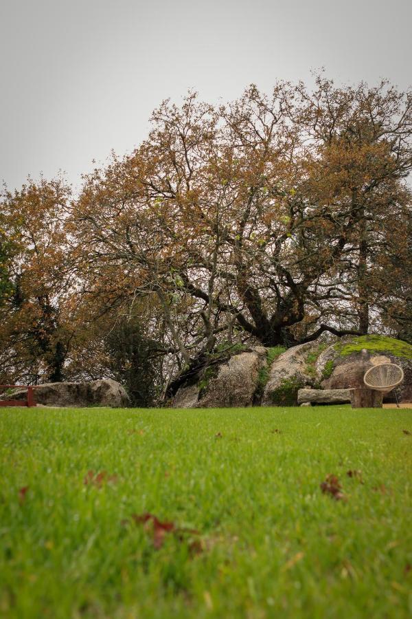 Quinta Pousada De Fora Wines & Tourism Guimarães Dış mekan fotoğraf