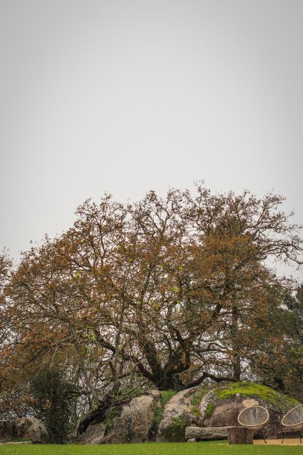 Quinta Pousada De Fora Wines & Tourism Guimarães Dış mekan fotoğraf