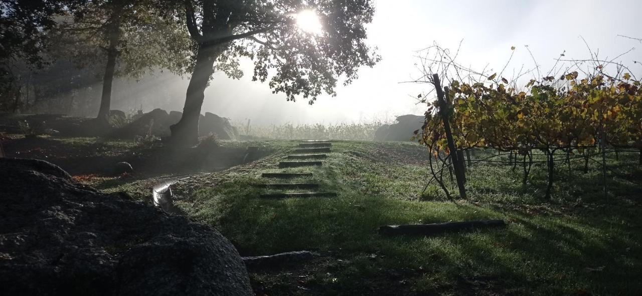 Quinta Pousada De Fora Wines & Tourism Guimarães Dış mekan fotoğraf