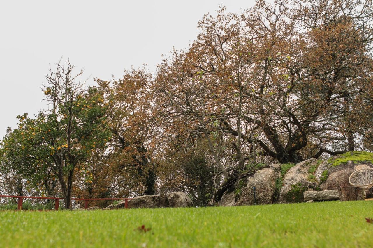 Quinta Pousada De Fora Wines & Tourism Guimarães Dış mekan fotoğraf