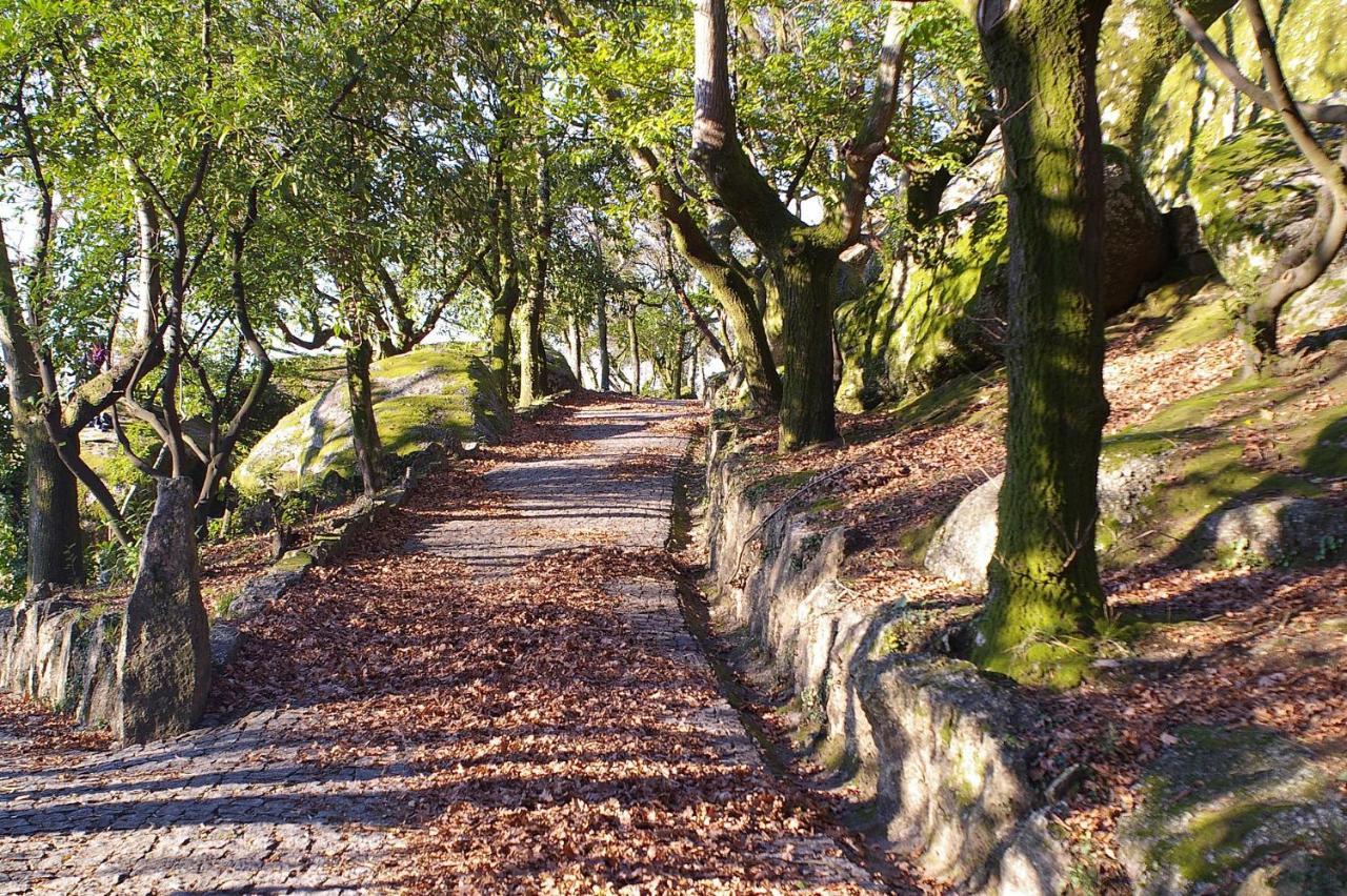 Quinta Pousada De Fora Wines & Tourism Guimarães Dış mekan fotoğraf