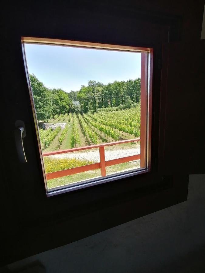 Quinta Pousada De Fora Wines & Tourism Guimarães Dış mekan fotoğraf