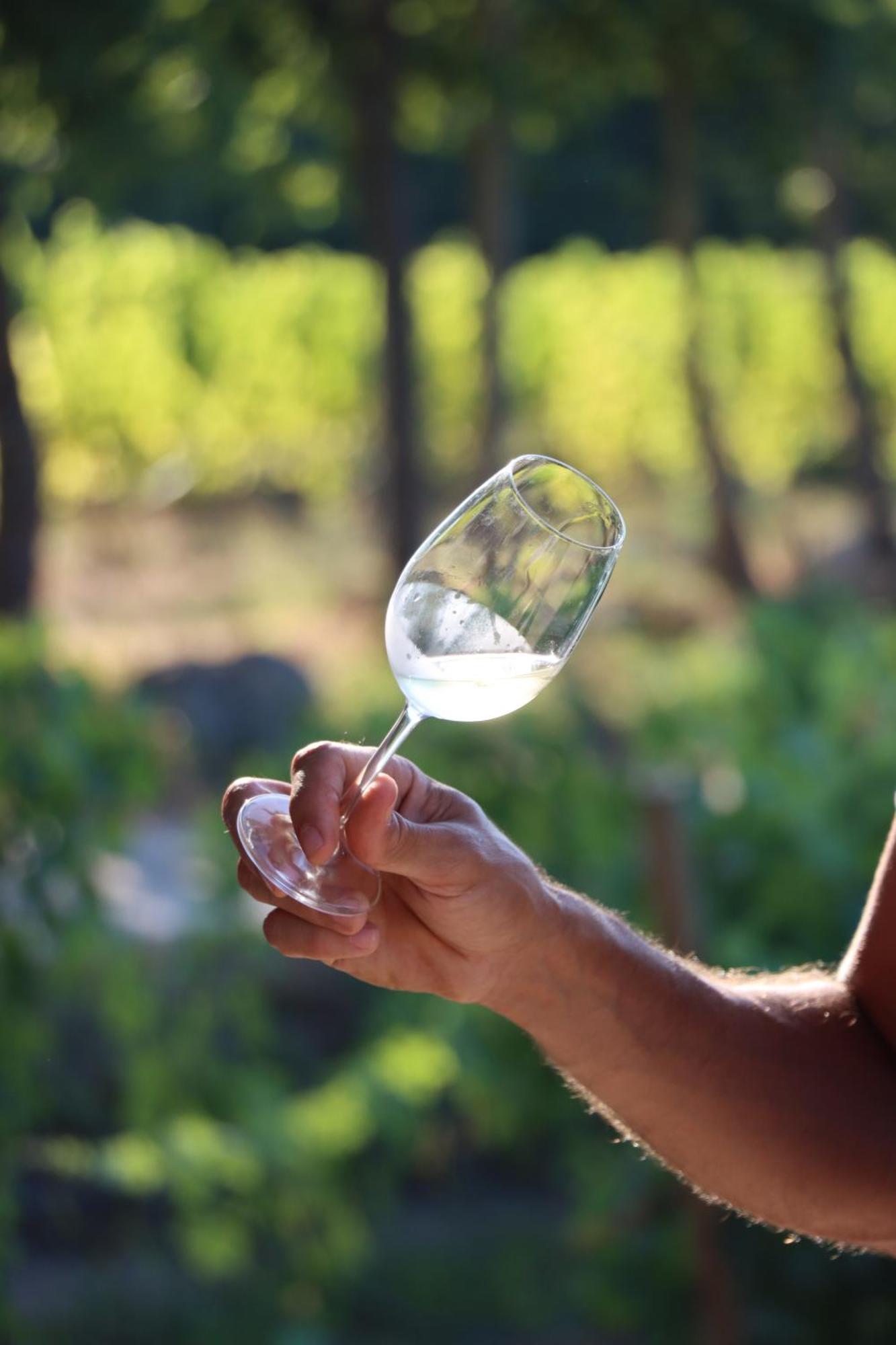 Quinta Pousada De Fora Wines & Tourism Guimarães Dış mekan fotoğraf